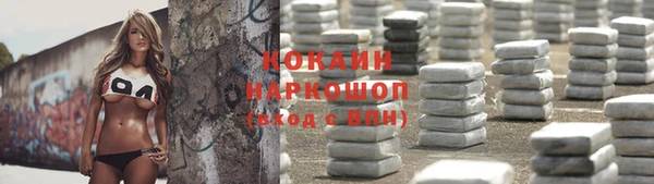 мяу мяу мука Няндома