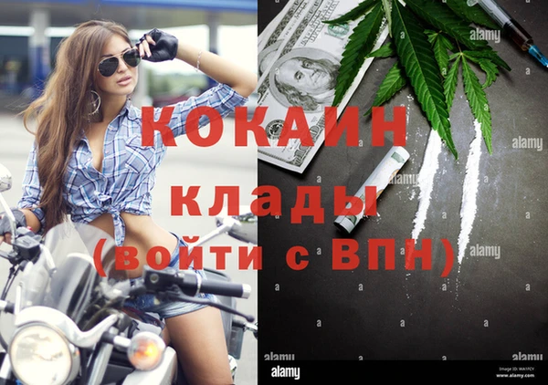 мяу мяу мука Няндома
